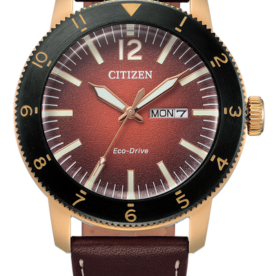 Citizen AW0079-13X Eco-Drive Vintage Throwback - AW0079-13X