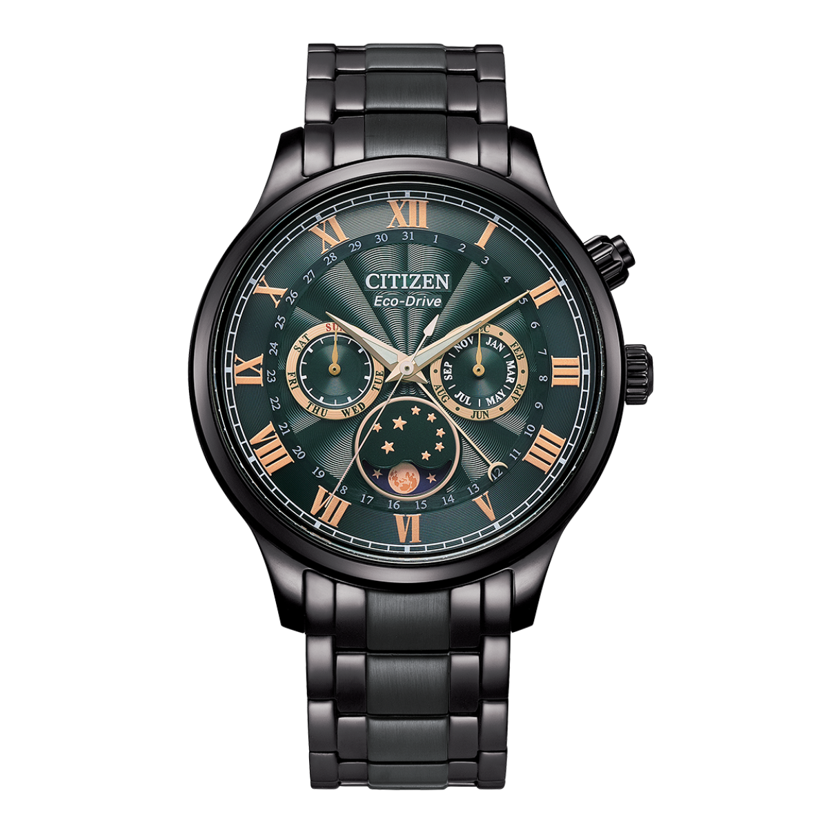 Citizen Multi Function Moonphase Eco-Drive Men's Watch AP1055-87X
