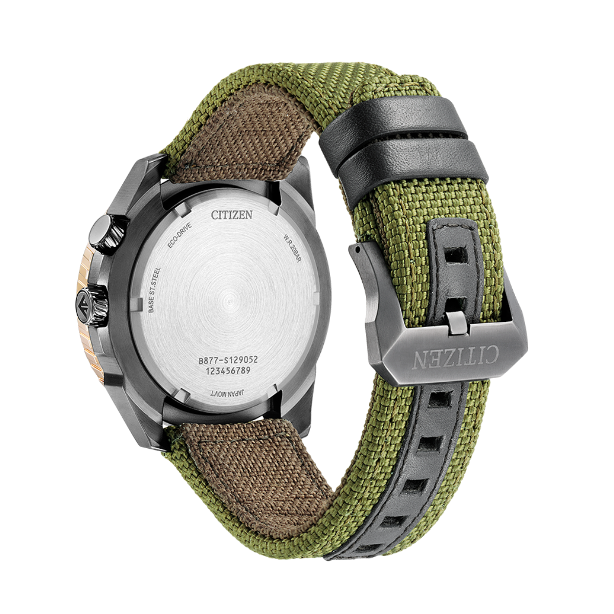 Citizen 2025 aviation watch