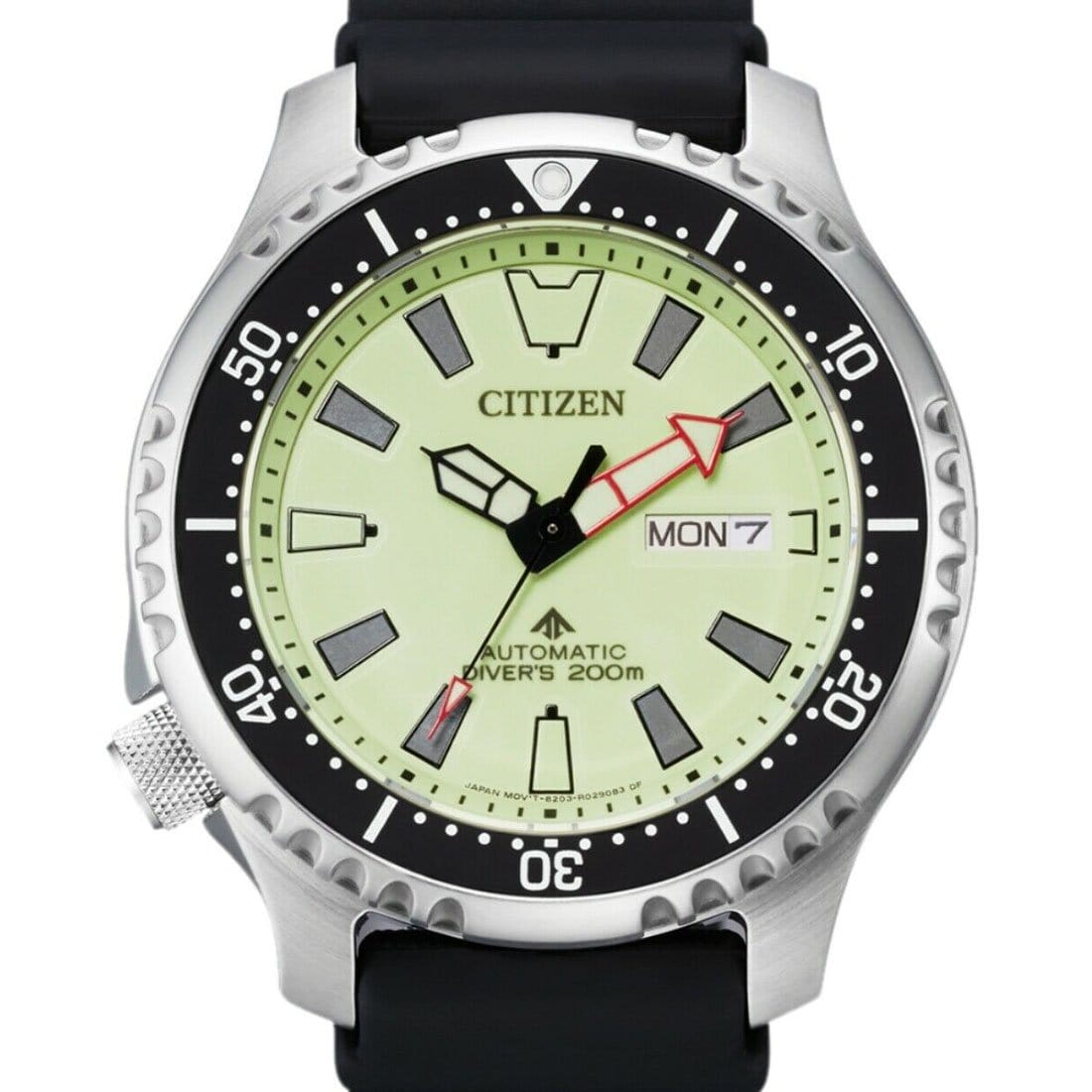 Citizen NY0119-19X – Watchkeeper
