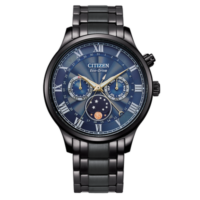 Citizen Multi Function Moonphase Eco-Drive Men's Watch AP1055-87L