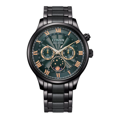 Citizen Multi Function Moonphase Eco-Drive Men's Watch AP1055-87X