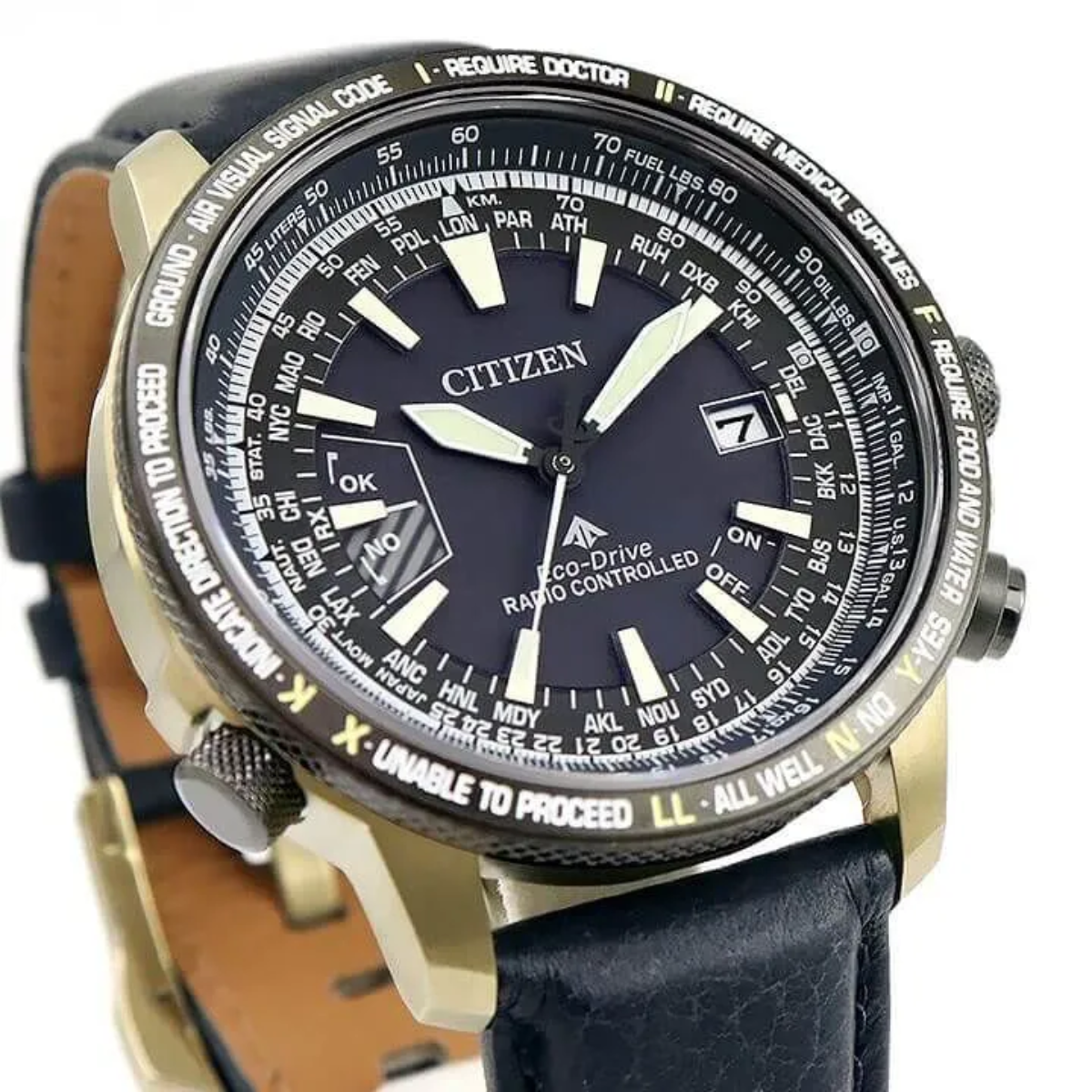 Citizen Promaster Sky Titanium Radio Controlled Eco-Drive Men's Watch CB0204-14L