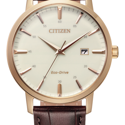 Citizen BM7463-12A Eco-Drive Perpetual Calendar Men's Watch - BM7463-12A