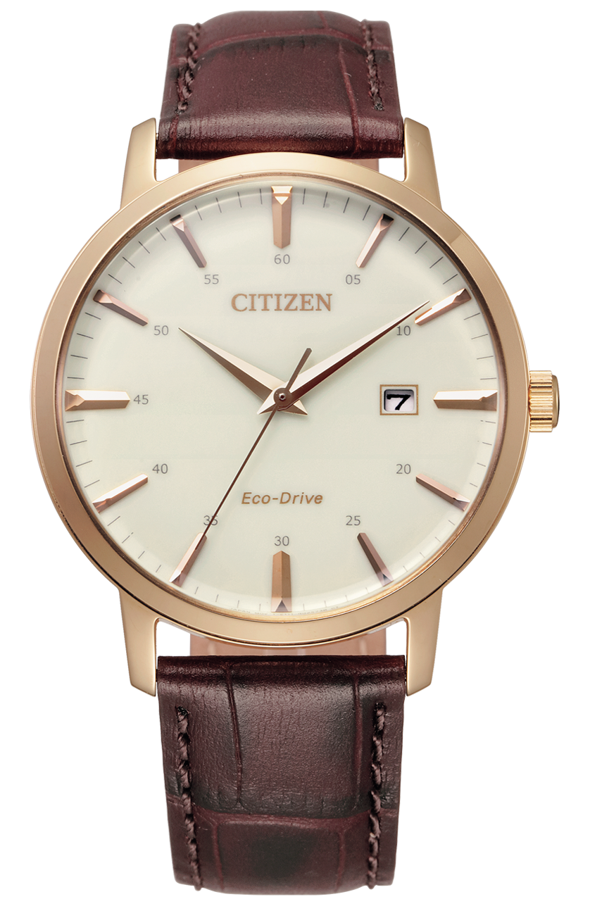 Citizen BM7463-12A Eco-Drive Perpetual Calendar Men's Watch - BM7463-12A