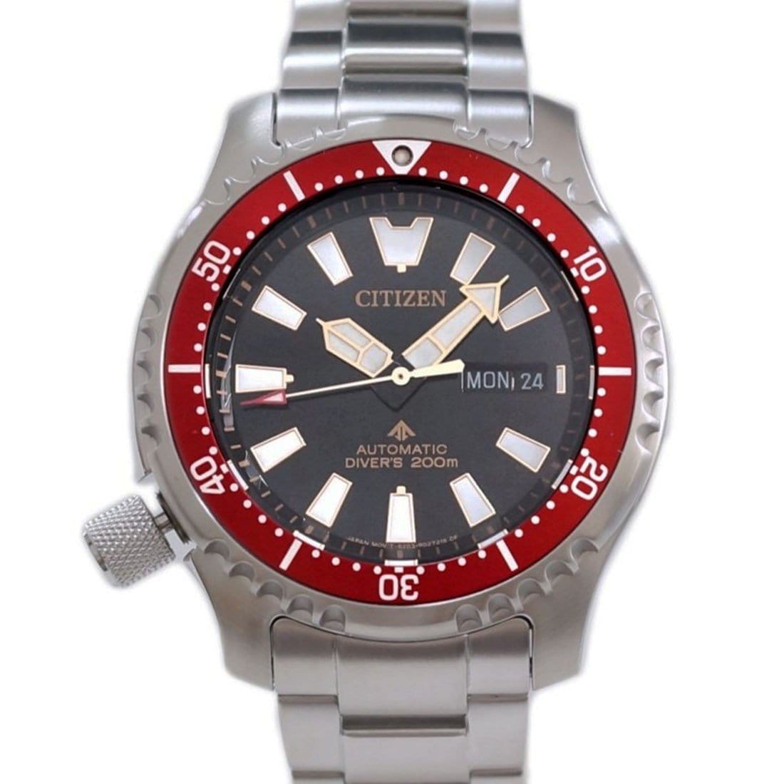 Citizen Promaster Fugu Dive Watch NY0091-83E NY0091