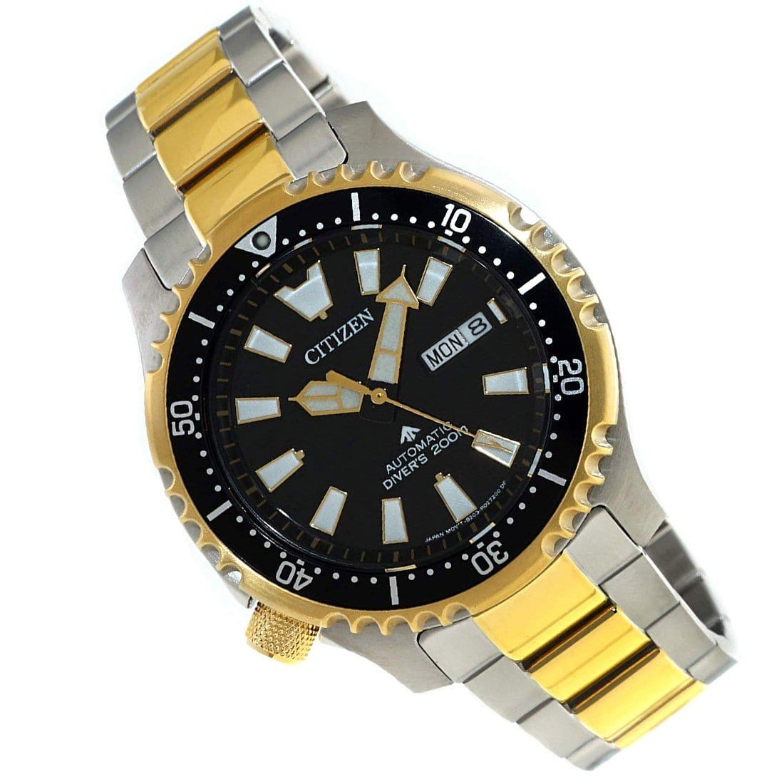 Citizen Promaster Fugu Dive Watch NY0094-85E NY0094-85